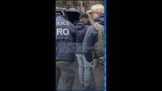 ICE arrests seven in Northern Virginia amid heightened crackdown on immigration