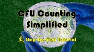 CFU Counting Made Simple: Master Microbial Analysis