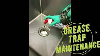 Control drain fly, cockroaches and foul odours in drains with ClearOut Probiotic Drain Foam