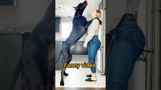 #farming Animal #pets #farmanimalct #seotutorial #comedy #doglover #seoguide #cute #seotips