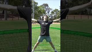 How Different Animals Save a Goal in Football/Soccer  Part 2