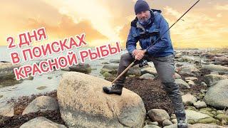 Ловля лосося и морской форели спиннингом.Трудовая рыбалка.