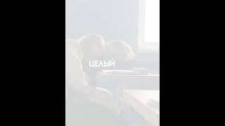 #ЛГБТ#Лезби#Гей#лгбтпара