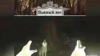 "... ВЗЯТЬ ИХ ВСЕХ ЗА НОЗДРИ ..." Памяти Влада Бахова посвящается... Влад Бахов