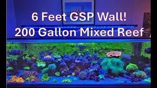 200 Gallon Reef Tank with a 6-Foot GSP Wall!