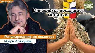 Минсельхоз предлагает молиться. Сельский час #229 (Игорь Абакумов)