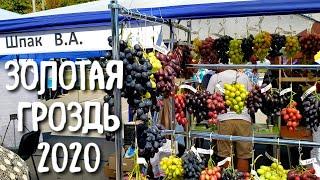 Золотая гроздь Украины 2020. Выставка и наш стенд