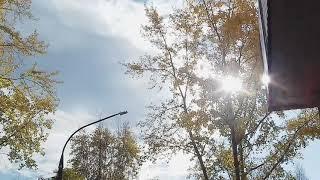 Autumn in Siberia | Ust-Ilimsk | Russia | Сибирская осень