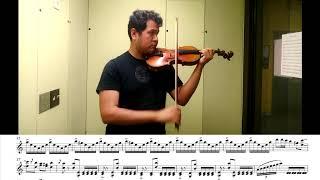 El Rey de la Huasteca | Violin Solo