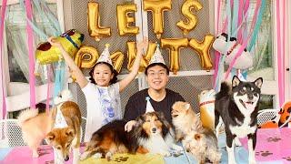 My Dog's Epic Birthday Pawty !!! 