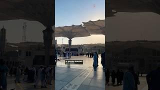 This Surah destroys witches, black magic & evil spirit | MadinahCity in Saudi Arabia