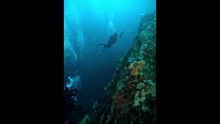 Buceo Nivel Avanzado Zapallar #scubadiving #diving #underwater #gopro #ocean #chile #padi