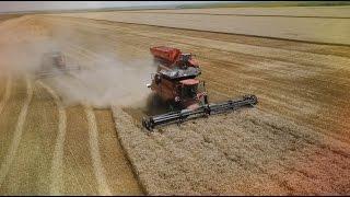 Case IH AF 9230 wheat harvesting record 2014