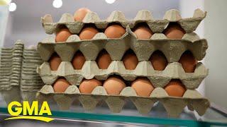 Why are eggs in short supply?