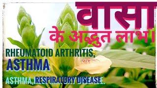 Adhatoda vasica, Adusha, Vasa,plant ke medicinal use benefits (fayde) and identification knowledge