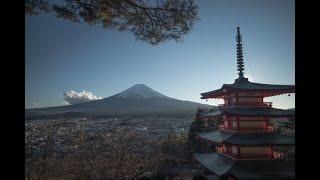 Japan trip Cinematic / Mt Fuji / Kawaguchiko / VisitJapan / Cinematic