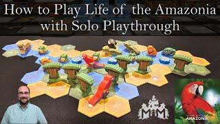 How to Play Life of the Amazonia Solo with Full Playthrough