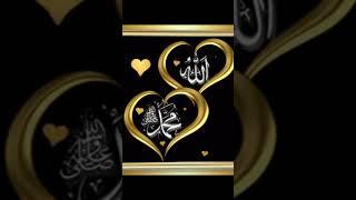 মুহাম্মদ নাবীনা দ্বীনুরু হাদিনা #shorts #tiktok