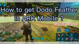 How to get Dodo Feather in ARK Mobile?