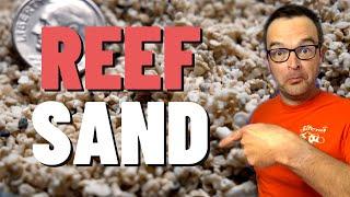 Week 14: Everything You Need To Know About "Live" Reef Sand, Beginner Guide Saltwater Aquariums