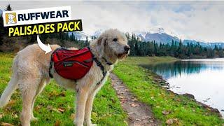 Perfect Backpack for your Canine Companion - RUFFWEAR PALISADES Dog Pack