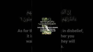 surat al baqarah #love #Muneeb akram offical