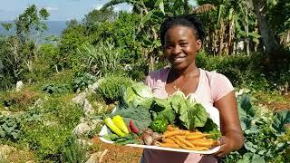 From Garden to Kitchen|Self-Sufficient|Eat What You Grow, Grow What You Eat :-)