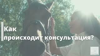 Услуги Астролога | ПРЕЗЕНТАЦИЯ. ЗАПИСЬ на консультацию.