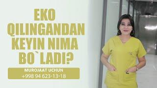 Eko qilingandan keyin nima bo`ladi?