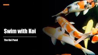 Relaxing Music with Water Sounds - Koi Fish Pond