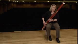 What does a bassoon sound like? (Ode to Joy)