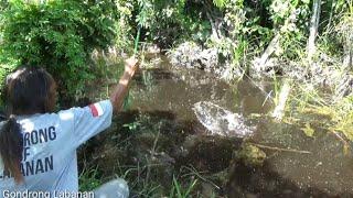 Cuma parit kecil!! Tapi lihat ikan nya bikin gemeteran pemancing