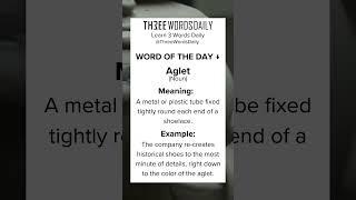 Learn what  Aglet means. #english    #vocabulary    #learnenglish     #englishvocabulary   #shorts
