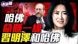 習近平和哈佛的秘密！白宮一紙禁令，撕開中共權貴留美祕密！哈佛共諜門：頂尖教授如何成為中共千人計劃囚徒！『新聞最嘲點 姜光宇』2025.0527