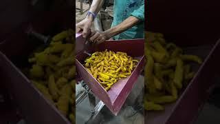 Double chamber grinding machine, turmeric (Haldi) powder Fine grinding machine️+91 90390 88841