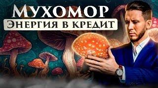 Мухомор Дает Энергию в Кредит. Микродозинг, трипы. Ответы на вопросы