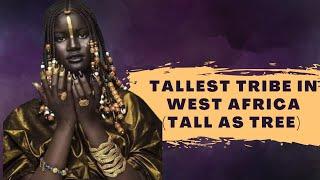 WOLOF TRIBE the tallest in west Africa - fact of Wolof tribe