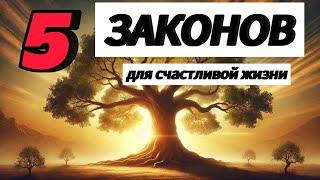 5 законов жизни: как стать мудрее и изменить судьбу | Мастерская мудрости