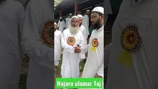 hajaro ulamar taj