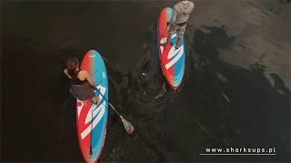 SHARK SUP ALL ROUND RIDE 10'0 2019