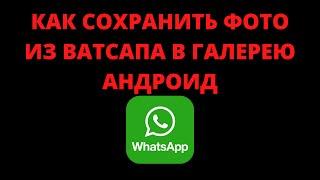 Как сохранить фото из ватсапа в галерею андроид