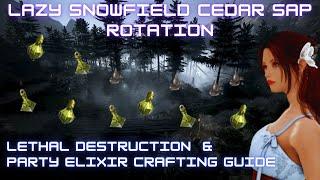 BDO | Get your Elixirs done with my lazy Snowfield Cedar Sap Rotation | Lethal Destruction Guide