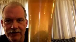 The Brew Q  taste test. Blue Moon clone