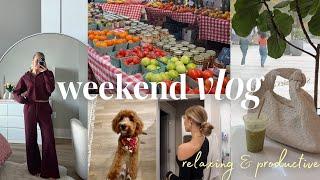 VLOG: tampa winter market, girls night, aritzia haul + try on, Frankie's FIRST haircut!!