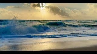 Majestic Sea Waves Crashing on the Beach | Relaxing Ocean Sounds for Deep Sleep-8 Hours