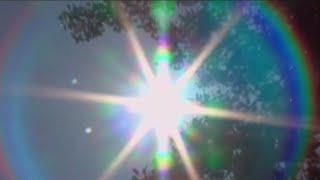 Drought forces watering restrictions in Los Angeles