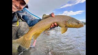 Most Insane Evening Dry Fly Fishing on the Bow River (Big Brown & Rainbow trout)