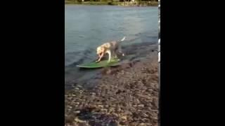 Maddux skimboarding