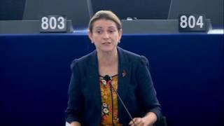 Catherine Stihler MEP - G20 & Brexit Speech in Plenary