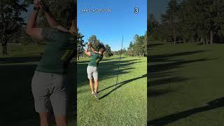 Par 5 Hardest Hole vs 1 Club - Day 24 #golf